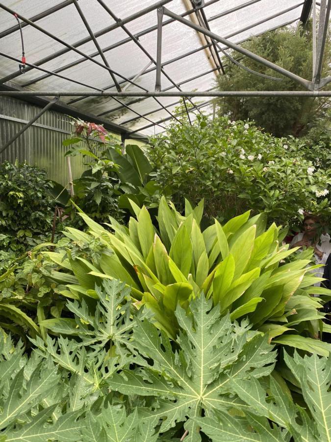 Green Hotel - Maravel Botanical Garden Spilion Luaran gambar